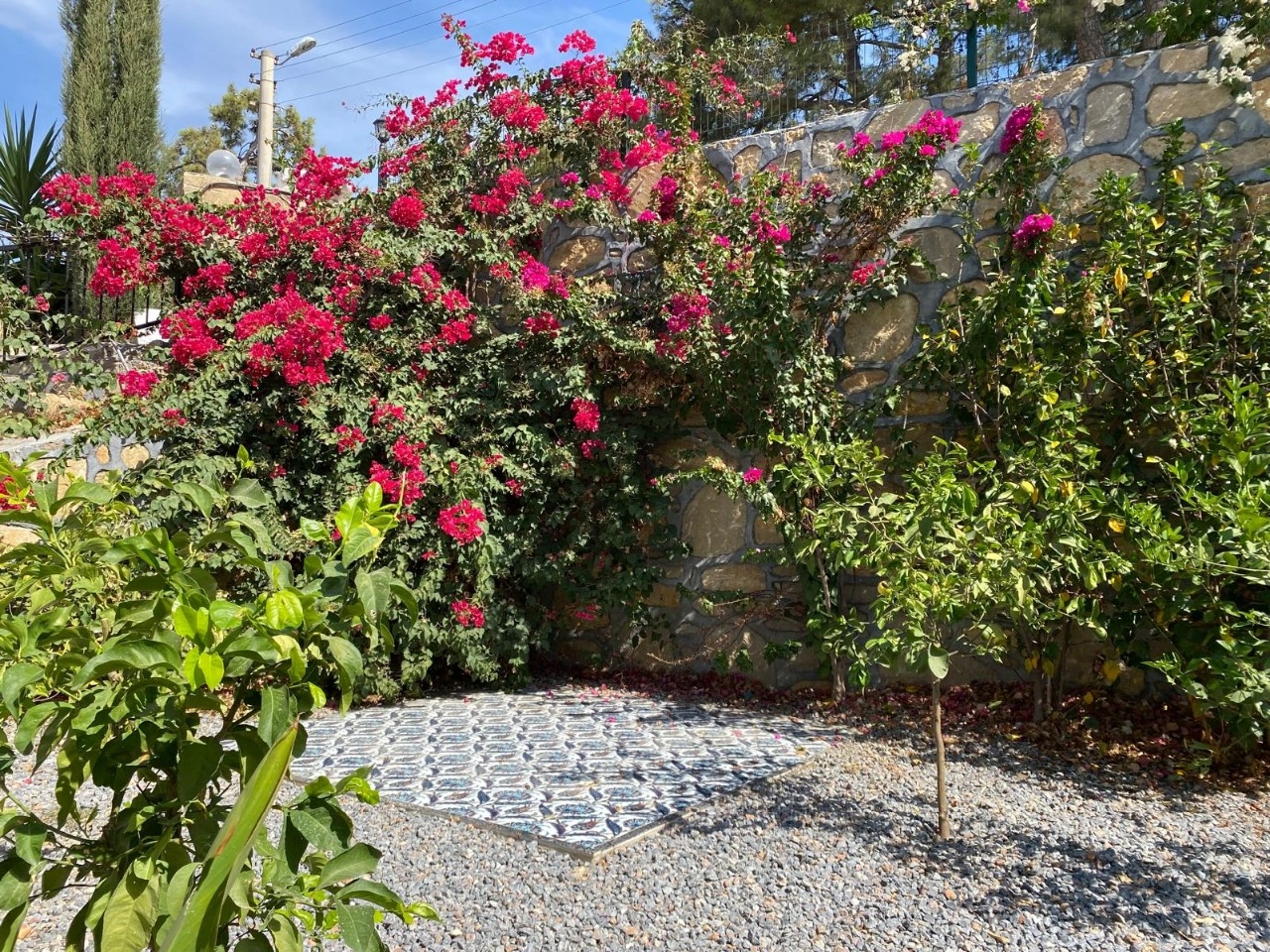 Luxury 3+1 Villa with Sea and Mountain Views in Alanya - Avsallar