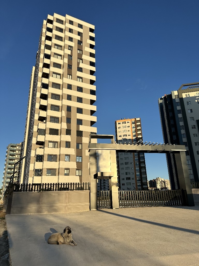 New project within walking distance from the beach in Arpaçbahşiş district