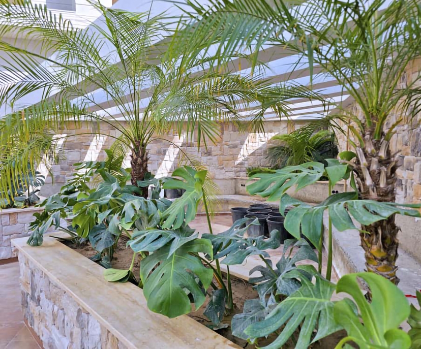 Moderne 1+1 leilighet i Alanya bysenter