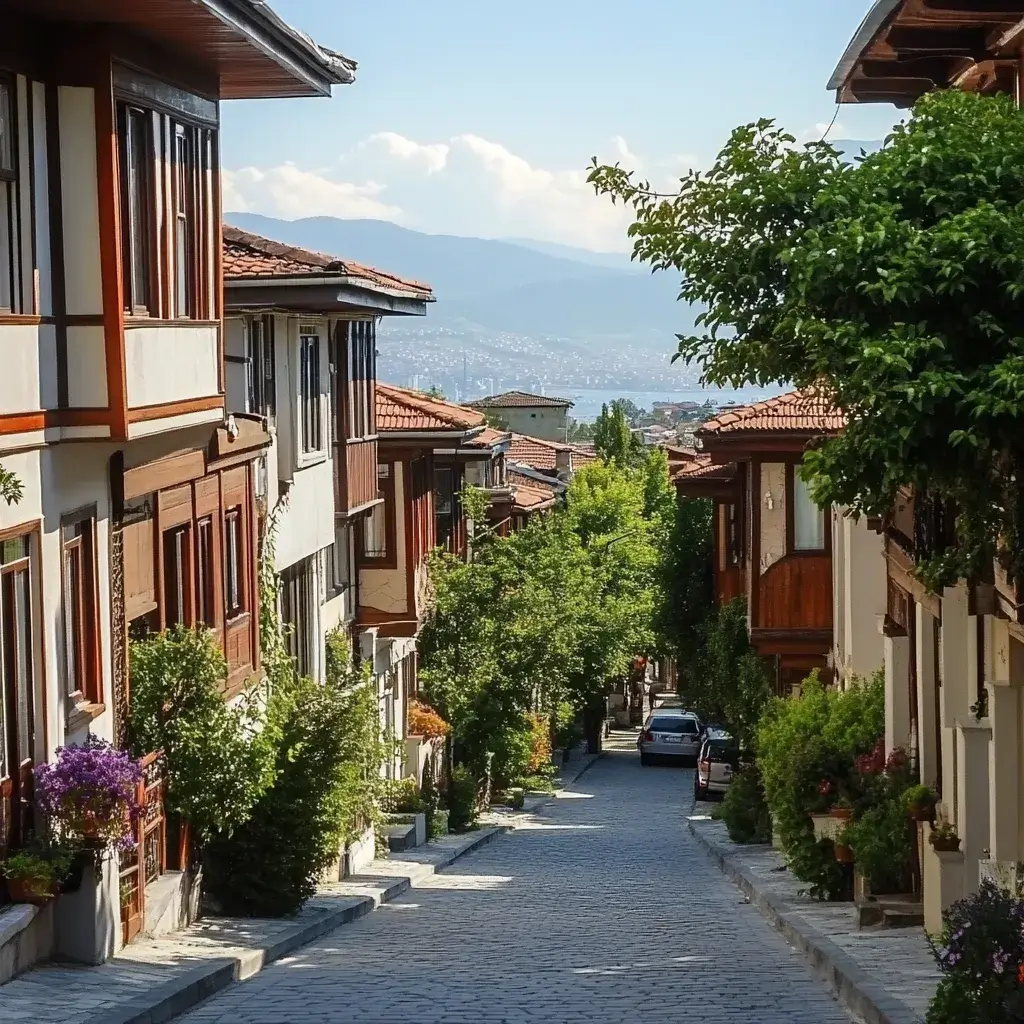 Bursa Affordable Best Locations to Buy Apartment in Turkey